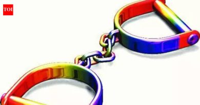 बाहेरची महिला, दोन सहाय्यक पकडले