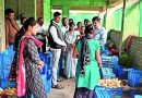 पुण्यातील पेरणे येथे महिलेचा स्वीट कॉर्नचा उपक्रम, ४५ जणांना रोजगार; स्वत: ची किंमत वाढवते पुण्यातील पेरणे येथे महिलेचा स्वीट कॉर्नचा उपक्रम, ४५ जणांना रोजगार; स्वत: ची किंमत वाढवते
