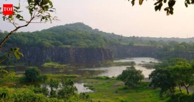4-5 मिनिटे वाचवण्यासाठी प्रस्तावित रस्त्यामुळे वेताळ टेकडीला धोका निर्माण झाला आहे