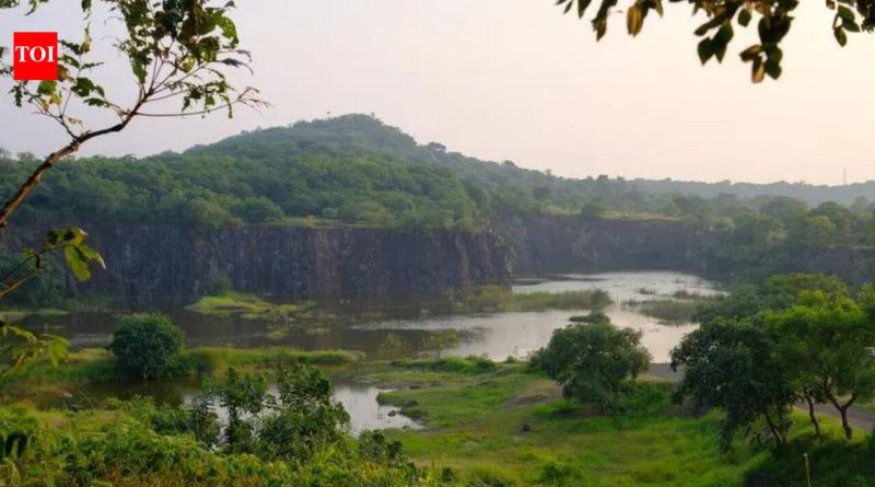 4-5 मिनिटे वाचवण्यासाठी प्रस्तावित रस्त्यामुळे वेताळ टेकडीला धोका निर्माण झाला आहे